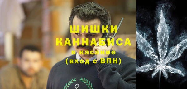 амф Горняк