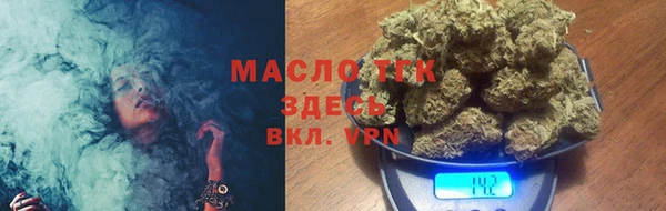 шишки Горно-Алтайск