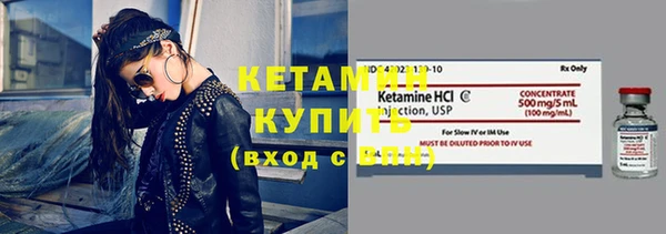 шишки Горно-Алтайск