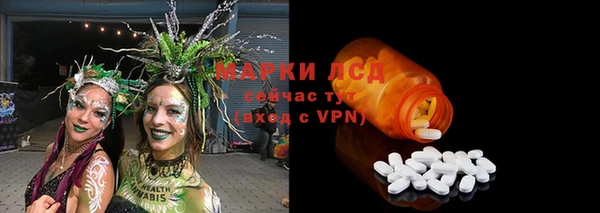 шишки Горно-Алтайск