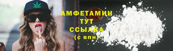 амф Горняк