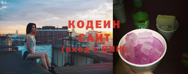амф Горняк