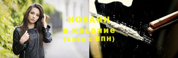 шишки Горно-Алтайск