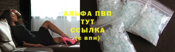 амф Горняк
