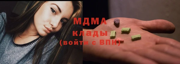шишки Горно-Алтайск