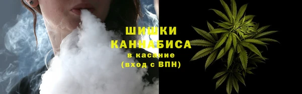 шишки Горно-Алтайск