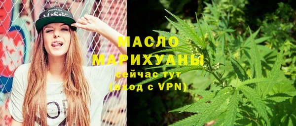 шишки Горно-Алтайск