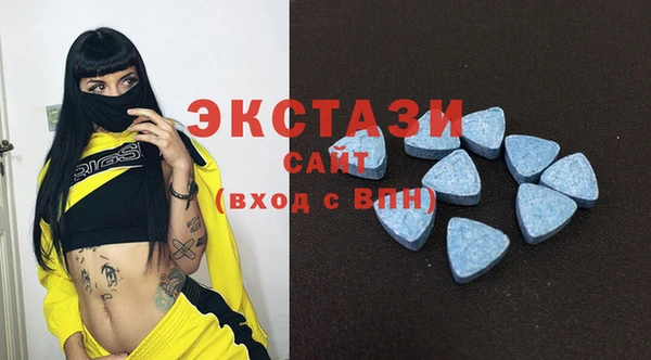 шишки Горно-Алтайск