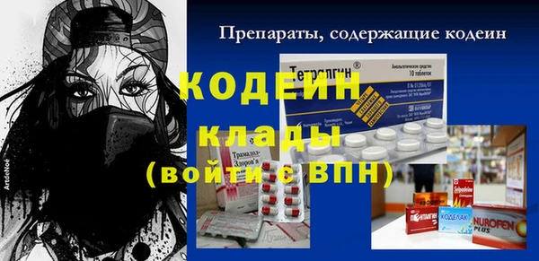 шишки Горно-Алтайск