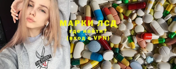 амф Горняк