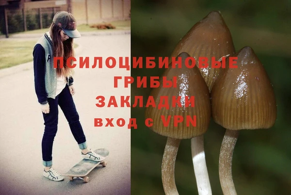 шишки Горно-Алтайск
