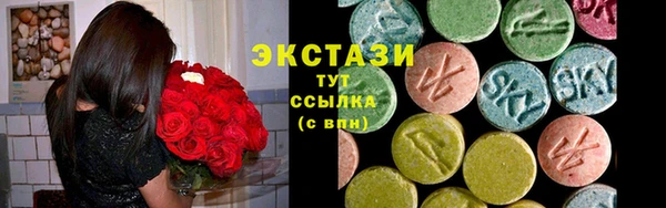 амф Горняк