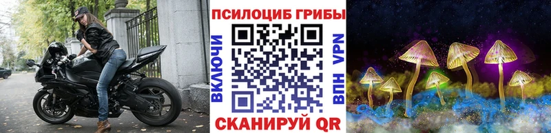 blacksprut вход что такое Домодедово Псилоцибиновые грибы MAGIC MUSHROOMS